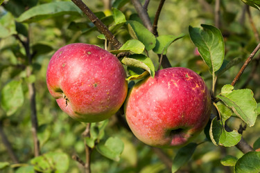 Similar image 2994541