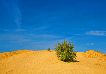 Similar image 2994542