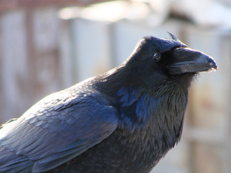 Similar image 2994545