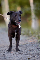 Similar image 2994568