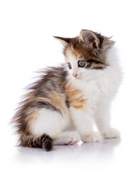 Similar image 2994569