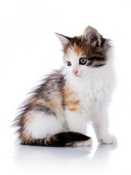 Similar image 2994574