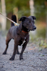 Similar image 2994576