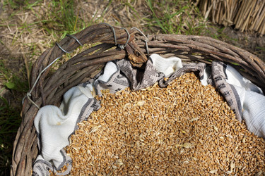 Similar image 2994657