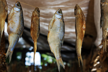 Similar image 2994662