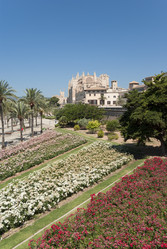 Similar image 2994697