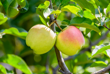 Similar image 2994709