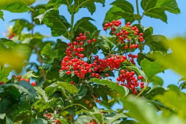 Similar image 2994710