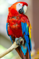 Similar image 2994714