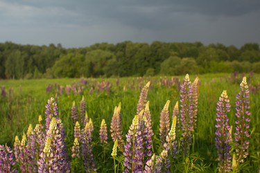 Similar image 2994783