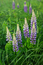 Similar image 2994785