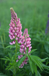 Similar image 2994786