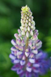 Similar image 2994790