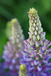 Similar image 2994791