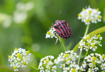 Similar image 2994796