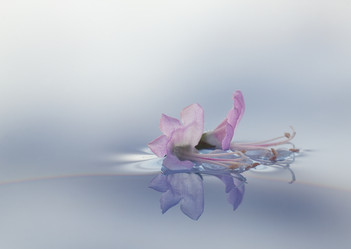 Similar image 2994797