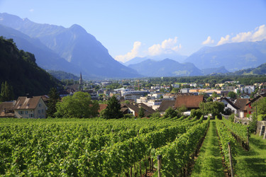 Similar image 2994918