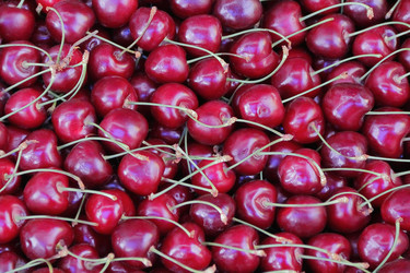 Similar image 2994947