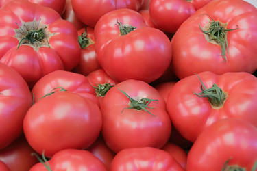 Similar image 2994948