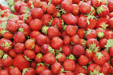 Similar image 2994949