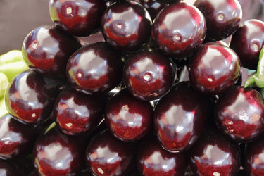 Similar image 2994950