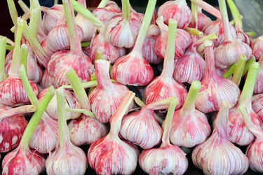 Similar image 2994952