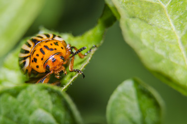 Similar image 2995107