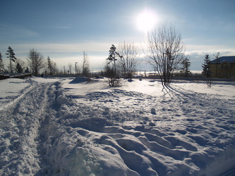 Similar image 2995114