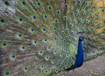 Similar image 2995126