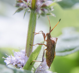 Similar image 2995127