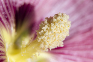 Similar image 2995128