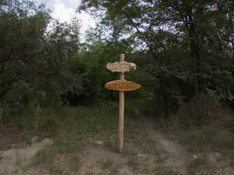 Similar image 2995146