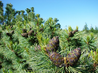 Similar image 2995172