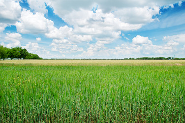 Similar image 2995215