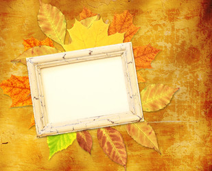 Similar image 2995255