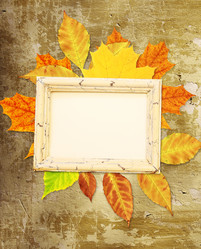 Similar image 2995265