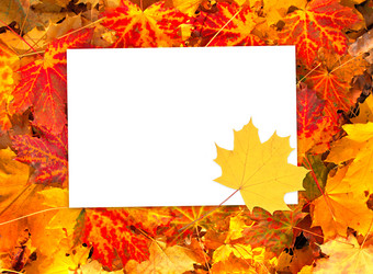 Similar image 2995269