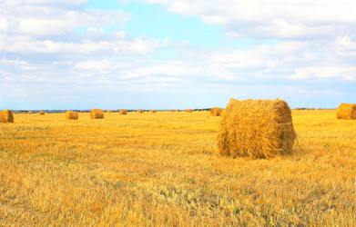 Similar image 2995270