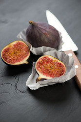 Similar image 2995275