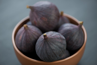 Similar image 2995288