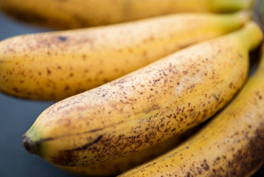 Similar image 2995296