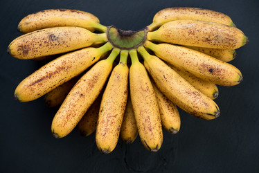 Similar image 2995299