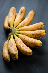 Similar image 2995300