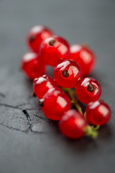 Similar image 2995305