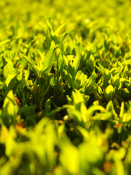 Similar image 2995314