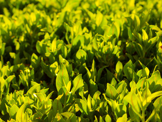 Similar image 2995316