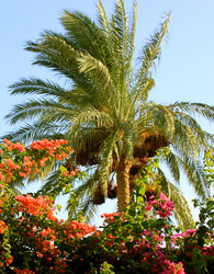 Similar image 2995318