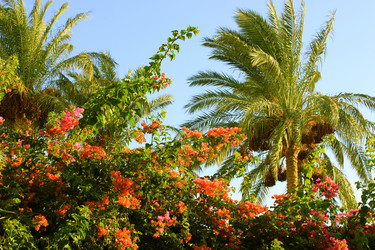 Similar image 2995320