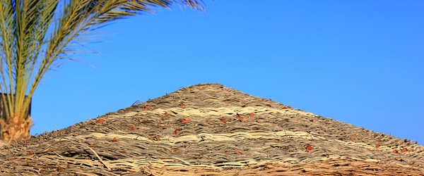 Similar image 2995323