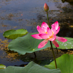 Similar image 2995335